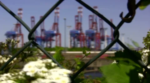 Harbor cranes through a fence Video stock 5022033