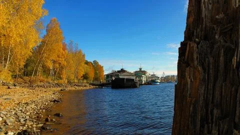Harbor Fall beach reflection of trees water Stock Photos