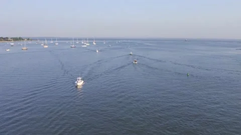  Harbor flight Stock Footage 206155629