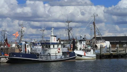 Harbor Stock Footage 8524848