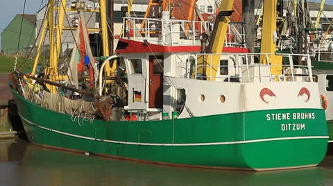 Harbor Stock Footage 22843038