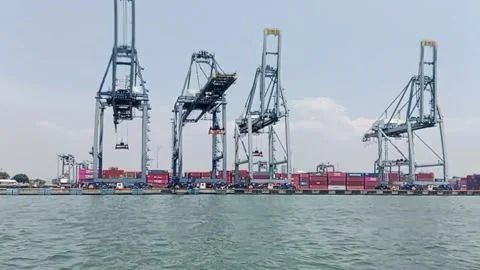 Harbor 스톡 동영상 238618441