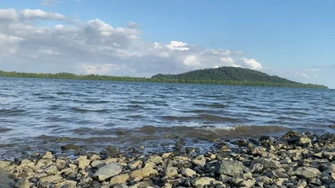 The harbor Stock Footage 242329229