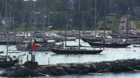 Harbor full of sailboats Stock Footage 49800335