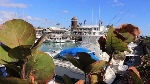 Harbor with lighthouse seen through plants Stock Footage 84714577