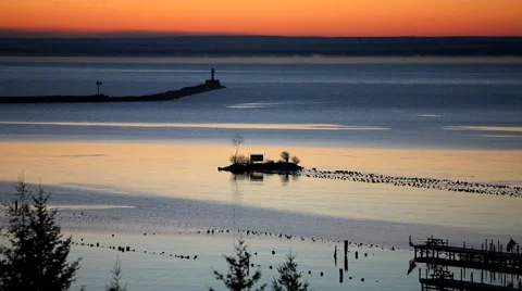 Harbor lights Stock Footage 44916628