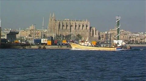 Harbor Palma de Mallorca Stock Footage 3678056
