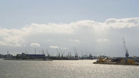 The harbor of Rotterdam Video stock 69904813