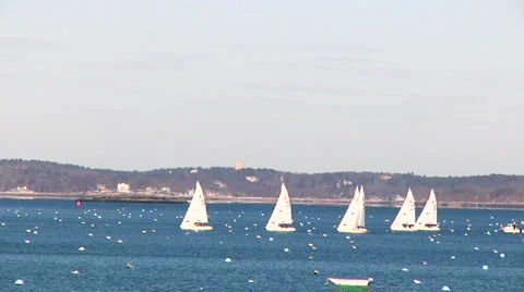 Harbor Sailing Stock Footage 888576