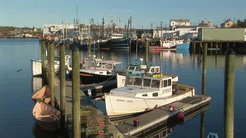 Harbor scene with homes in background in Gloucester harbor, Massachusetts USA Stock Footage 101928094