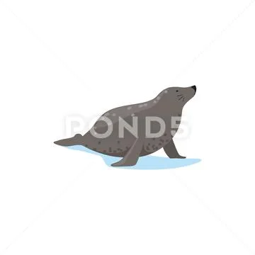 Harbor seal, Arctic fauna species vector Illustration Stock Illustration