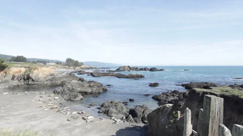 Harbor Seals Stock Footage 37752076