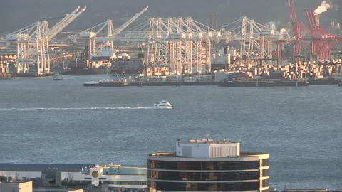 Harbor in Seattle Video stock 136532722