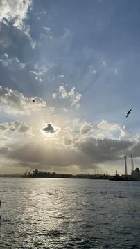Harbor Serenity 写真素材