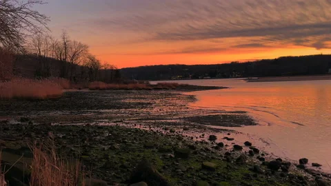 Harbor Sunset in Winter Beach Video stock 227571145