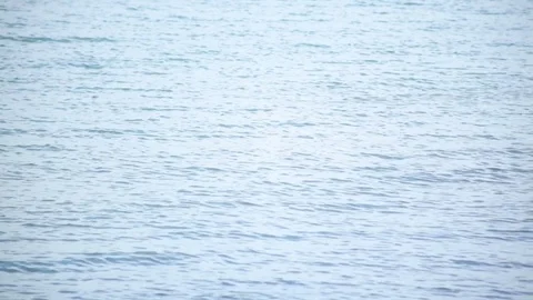 Harbor waters Stock Footage 73745945