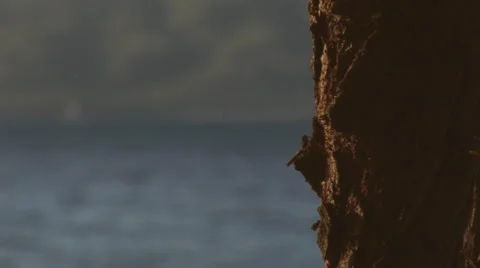 Harbor1 Stock Footage 1855550