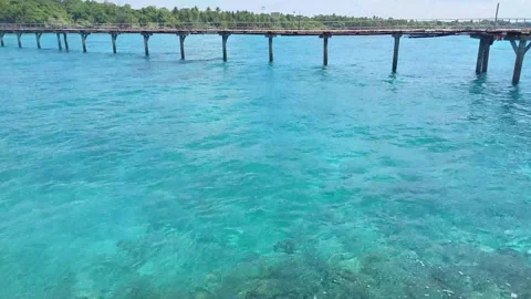 Harbor(5) Video stock 280049948