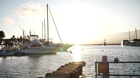 Harbour 73 Stock Footage 155495057