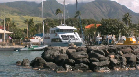 Harbour and boats Stock Footage 147145
