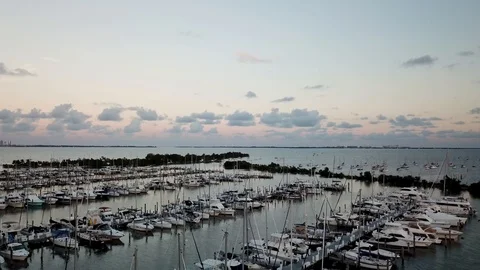 Harbour with Birds Stock Footage 116260946