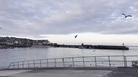 Harbour in the evening Stock Footage 308123428