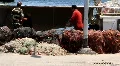 Harbour. Fishermen HD Footage