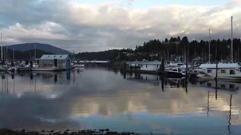 Harbour Fly-through with Breakwater Video stock 166490142