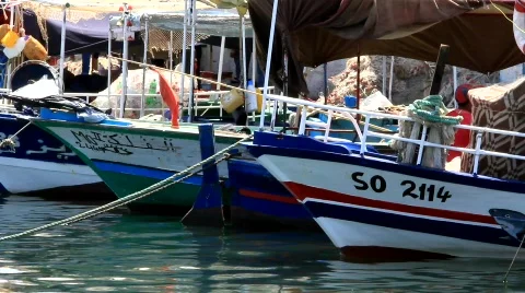 Harbour Stock Footage