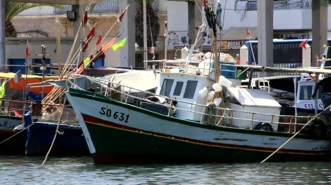 Harbour Stock Footage 778159