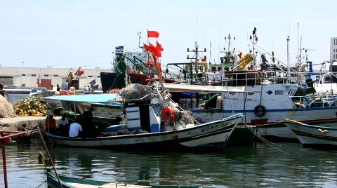 Harbour Video stock 778989