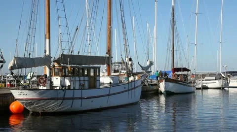 Harbour Stock Footage 10830558