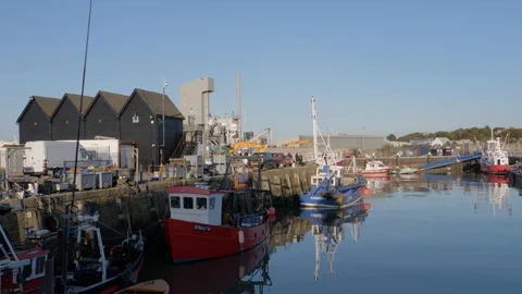 Harbour pan 4k Stockbeeldmateriaal 121594680