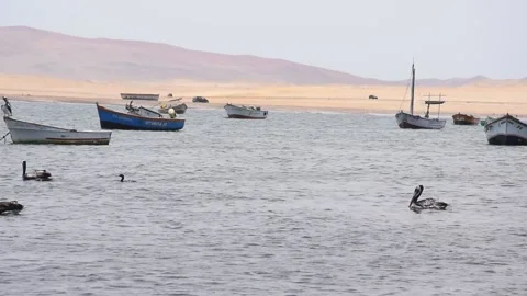 Harbour in in Paracas Stock Footage 143324289