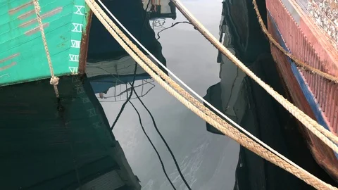 Harbour Ropes on Dock 스톡 동영상 105525923