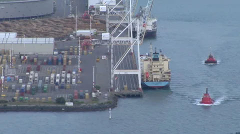 Harbour tugs Stock-Footage 4908353
