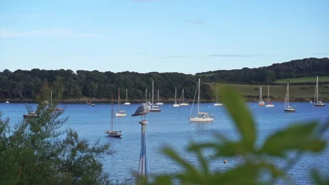 Harbour view in St Mawes Cornwall with Sea Gull part 2 Stock Footage 139014433