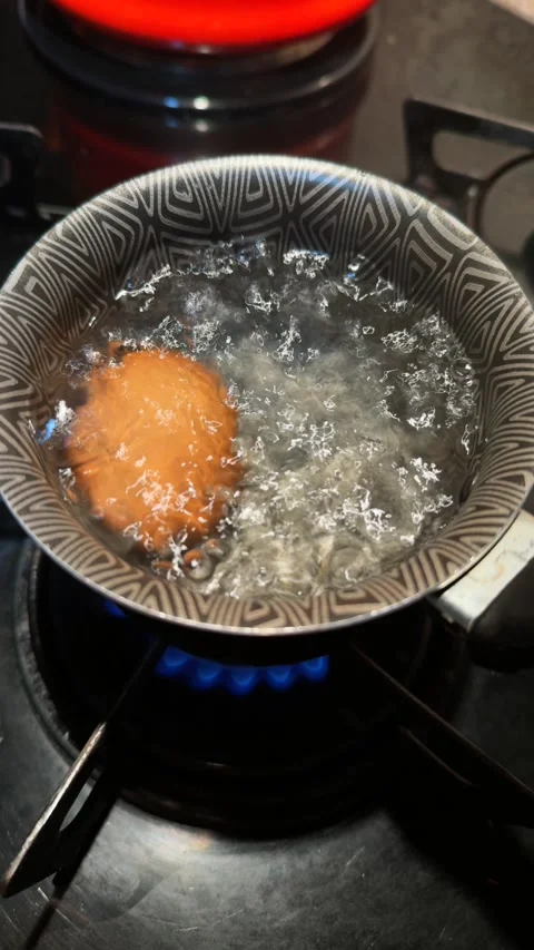 Hard-Boiled Egg Cooking in a Pot of Boiling Water on Gas Stove Stock Footage 310416390