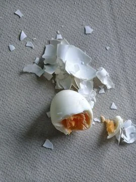 Hard Boiled Egg with Intact Broken Shell Pieces Lying on a Textured Grey Su.. Stock Photos