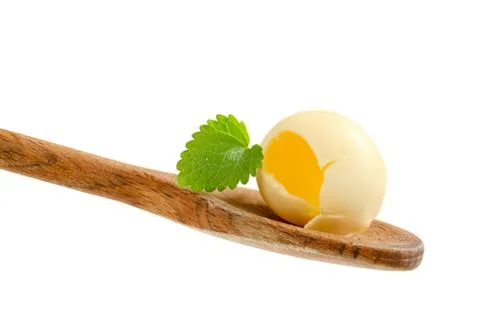 Hard-boiled egg with mint leaf on wooden spoon Stock Photos