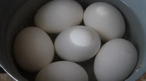 Hard boiled eggs Stock Footage 22568727