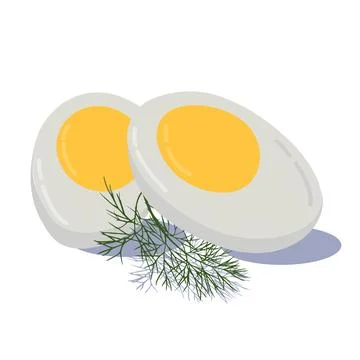 Hard boiled sliced broken egg with dill twig flat style with shadow isolated  Stock Illustration