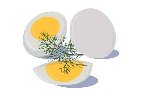 Hard boiled sliced broken egg with dill twig flat style with shadow isolate.. Stock Illustration