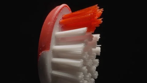 Hard bristles texture of small toothbrush for children Stock Footage 244518009