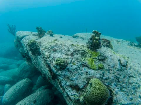 Hard broken corals structure in clear water after hurricane Foto stock
