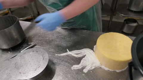 Hard cheese production process Stock Footage 146227043