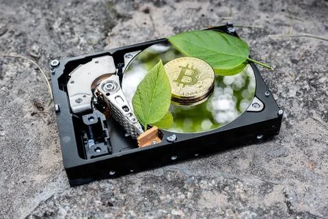 Hard disk drive with a bitcoin and a chia leaf on a concrete surface Foto stock