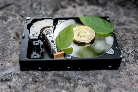 Hard disk drive with a bitcoin and a chia leaf on a concrete surface Stock Photos
