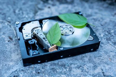 Hard disk drive with a bitcoin and a chia leaf on a concrete surface Stock Photos