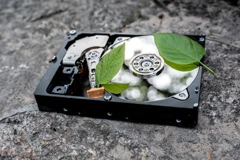 Hard disk drive with a bitcoin and a chia leaf on a concrete surface Stock Photos